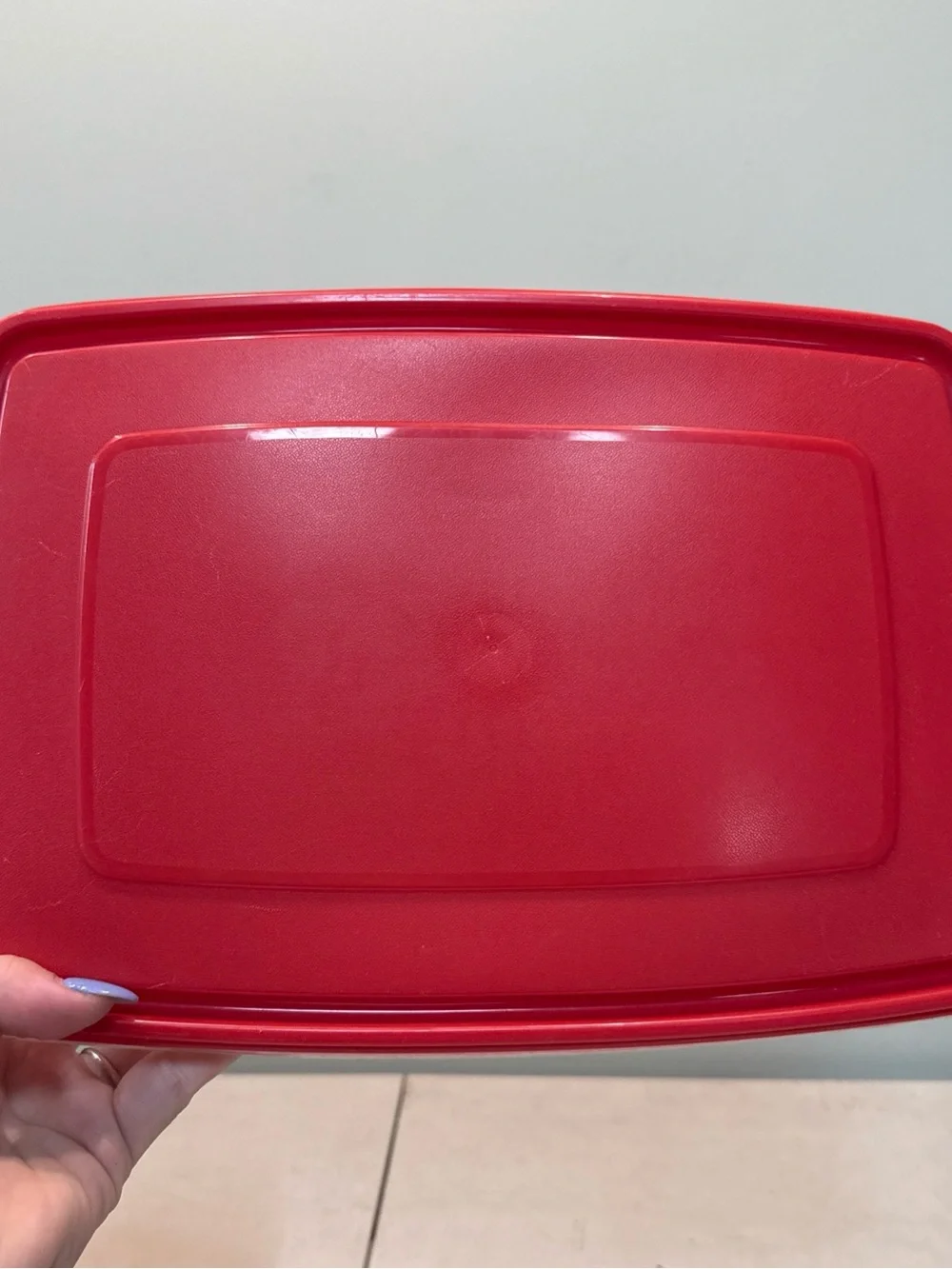 Rubbermaid Deviled Egg Container Holds 20 eggs + 2 take along containers EUC